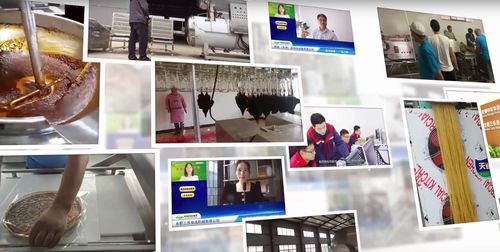 四问食机展云上诚 如何构筑供采互利共赢与技术交流新平台？